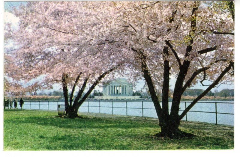 Jefferson Memorial, Washington DC