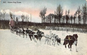 ALASKA SLED DOG TEAM POSTCARD (c. 1910) **