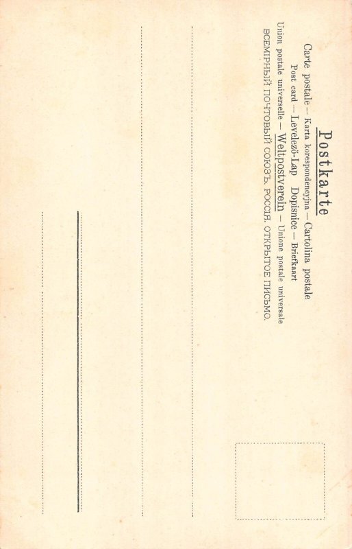 Love Romance Classy Couple Mandolin Player Lady vintage postcard B917