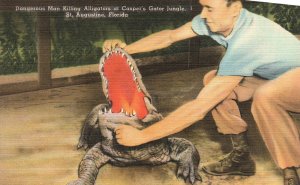 Vintage Postcard Dangerous Man Killing Alligator Casper's Gator Jungle Florida