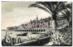 Old Postcard Menton Palmiers