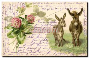 Old Postcard Donkey Mule