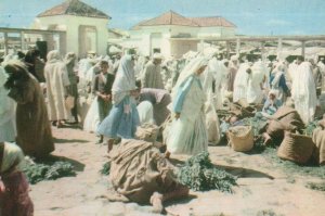 Tanger The Market Le Marche Morocco 1970s Postcard