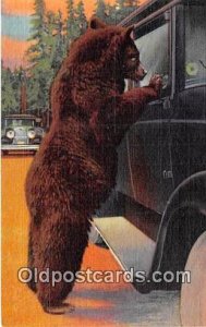 Yellowstone National Park Bear 1951 