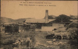 Martinique France Farm and Ox Cart Oxen Farmers c1910  Vintage Postcard