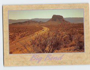 Postcard Ocotillo, Big Bend National Park, Texas