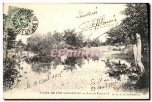 Old Postcard Foret De Fontainebleau Mare Franchard