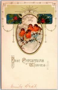 Best Christmas Wishes, 1921 Red-Breasted Birds On Snowy Branch Holly, Postcard