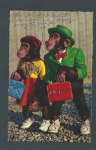 Post Card Humor Two Monkies Dressed As Humans Used Not Posted