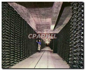 Postcard Modern Spain Espana Spain Cavas Codorniu Bottles in Aging