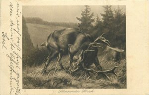 Scherzender Hirsch ( Joking deer ) 1915 postcard