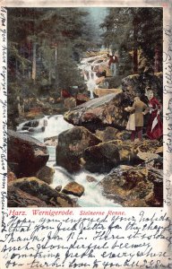 Germany 1905 Harz Wernigerode Steinerne Renne vintage postcard B994