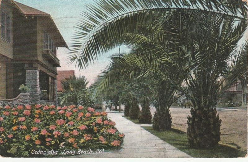 Cedar Avenue at Long Beach CA, California - pm 1907 - DB