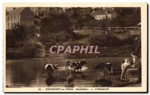 Old Postcard Rochefort en Terre The drinker Kids Cow