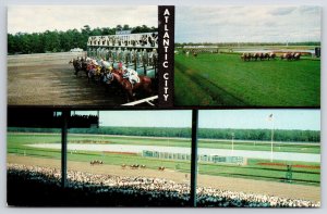 Atlantic City New Jersey Race Course Sports Center & Beauty Spot Resort Postcard