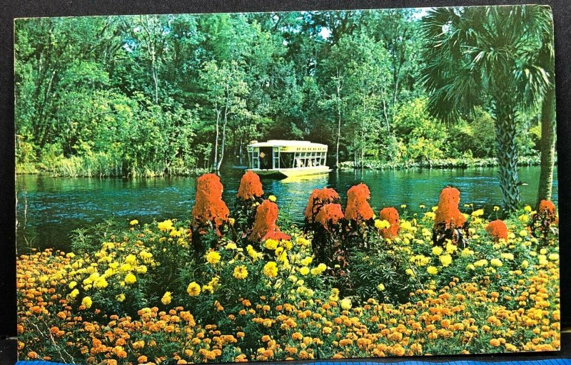 Florida Silver River Springs Glass Bottom Boats Vintage Postcard 1972