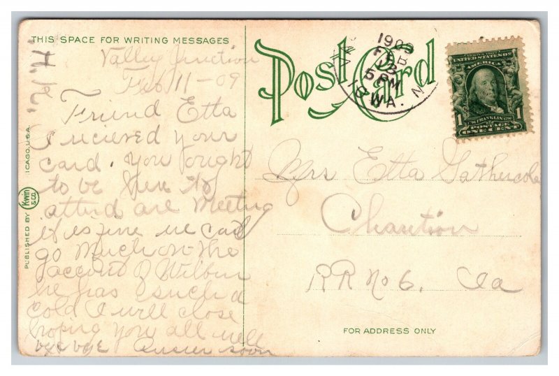 Des Moines Iowa Bird Land Union Park Postcard c1909 Postmark