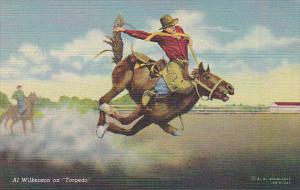 Al Wilkenson on Torpedo Curteich