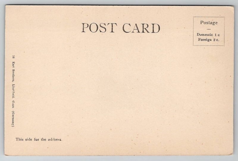 Litchfield CT Bantam River c1905 Connecticut Postcard I26