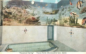 1950s Japan perpetual Spring Fujiya Hotel Miyanoshita Spa Postcard 22-11933