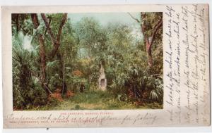 The Chimneys, Ormond FL