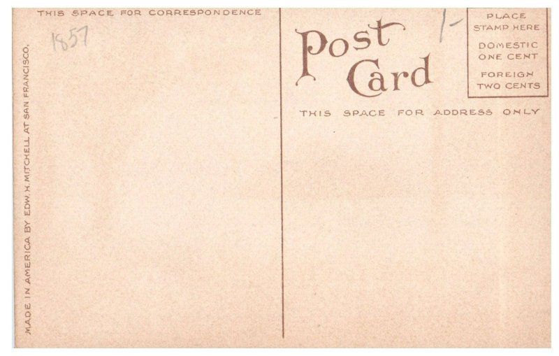 No. 1831 Lake Whatcom Washington Mitchell Postcard