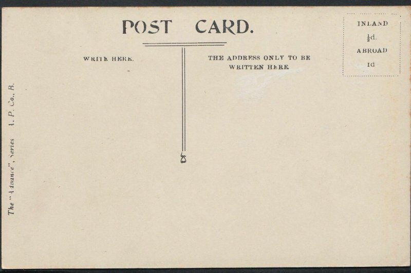 Lancashire Postcard - Tower Roof Gardens, Blackpool   BE830