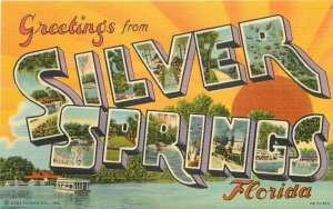 Large Letters multi View Silver City Florida Postcard linen Teich 9462