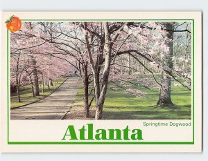 Postcard Springtime Dogwood, Atlanta, Georgia