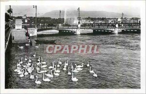 'Old Postcard Geneva Lake Leman and the Jet d''Eau Swans'