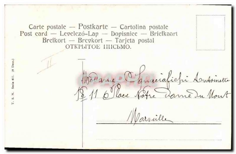 Postcard Old Swan Ducks Peacock Turkey