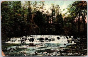 1909 Allens Creek Near Rochester New York NY Forest Trees Posted Postcard