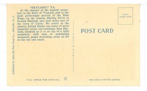 VA - Shenandoah National Park. Skyland