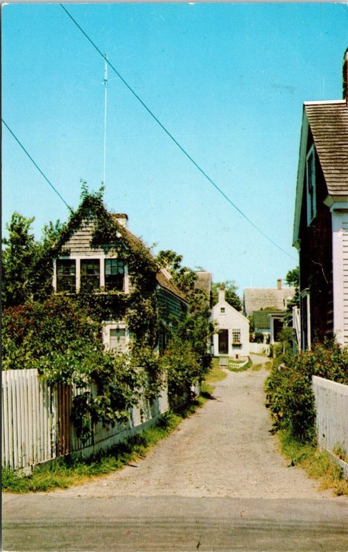 Historic Village Lane Streetview Cape Cod Massachusetts Chrome Cancel Postcard 