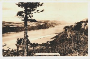 USA The Columbia River Gorge Washington Vintage RPPC 03.66