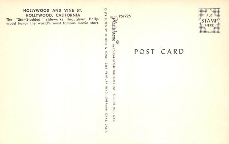 Star-Sidewalk's Hollywood and Vine St. Hollywood  California Postcard