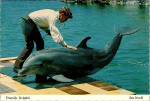 3~4X6 Postcards Orlando, FL Florida  SEA WORLD  Entrance~Dolphin~Penguin Parade