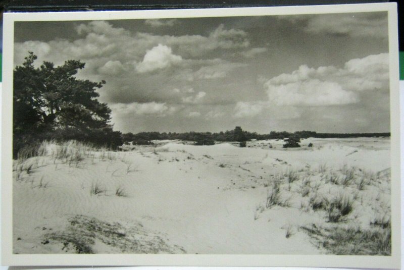 Netherlands Het National Park De Hoge Veluwe - unposted