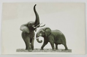 Beautiful African Elephants Stanley Field Hall Postcard R13