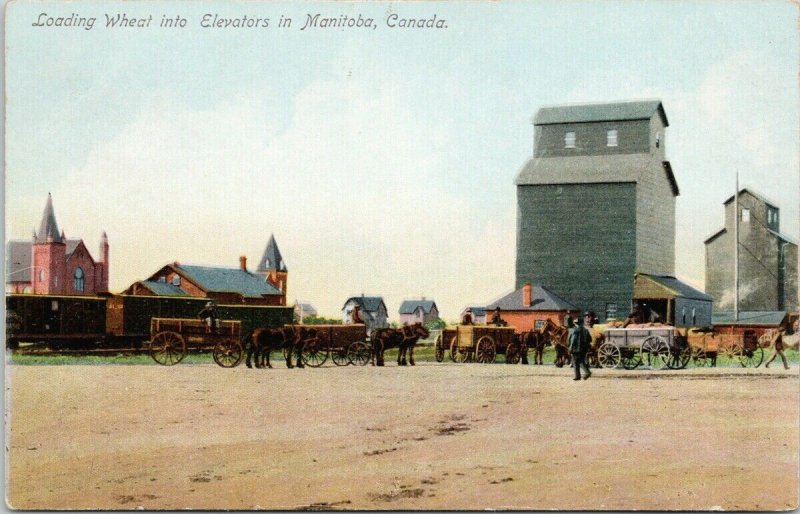 Manitoba Canada Loading Wheat in Grain Elevators Unused Stedman 160 Postcard H12