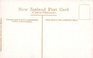 Sulphur Terrace, Waiotapu Valley, New Zealand, Early Postcard, Unused