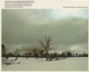 Kiandra Kosciusko National Park Winter Snow Australia Postcard