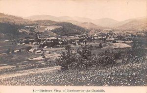 Birds Eye View - Roxbury in the Catskills, New York NY  