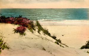 ME - Ogunquit. Sand Dunes