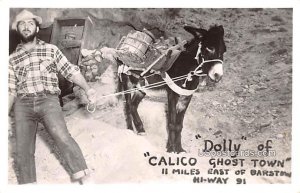 Dolly of Calico Ghost Town - Barstow, CA