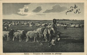 PC CPA SYRIA, RAKKA, TROUPEAU DE MOUTONS, (b23307)