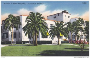 Morton F. Plant Hospital , CLEARWATER , Florida , 30-40s