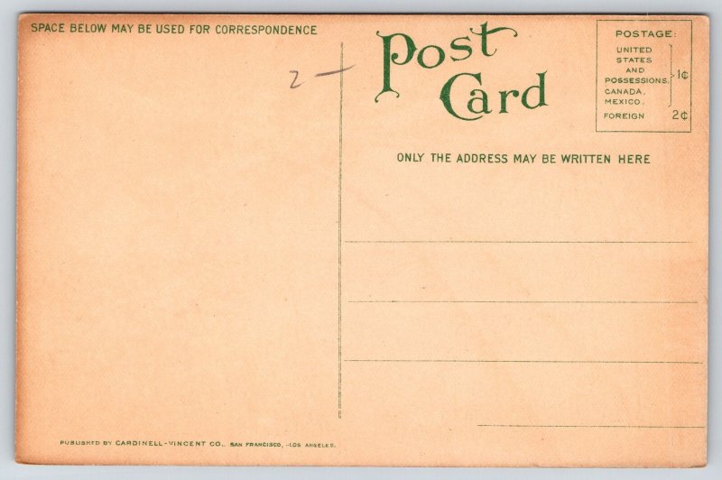 Hawaiian Territory~Nuuanu Valley Panorama~Cocoanut Tree~c1910 Postcard