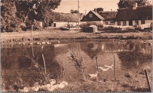 Denmark Sjællandsk Idyl Zealand Vintage Postcard  04.95 