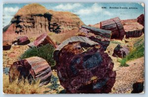 1917 Phoenix Arizona Vintage Postcard Petrified Forests Southwestern Wonderland